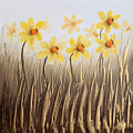 Daffodils 