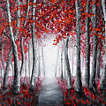 Forest of Wonder